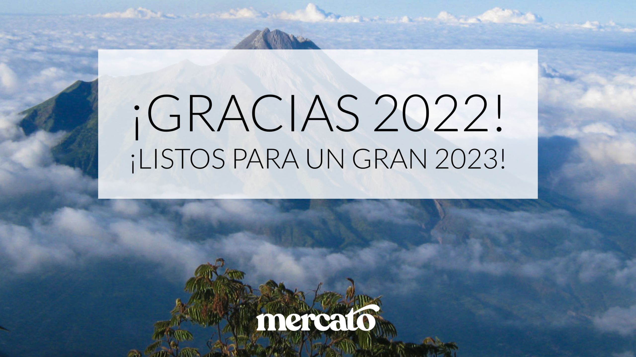 reflexiones de fin de año alimentos sin pesticidas