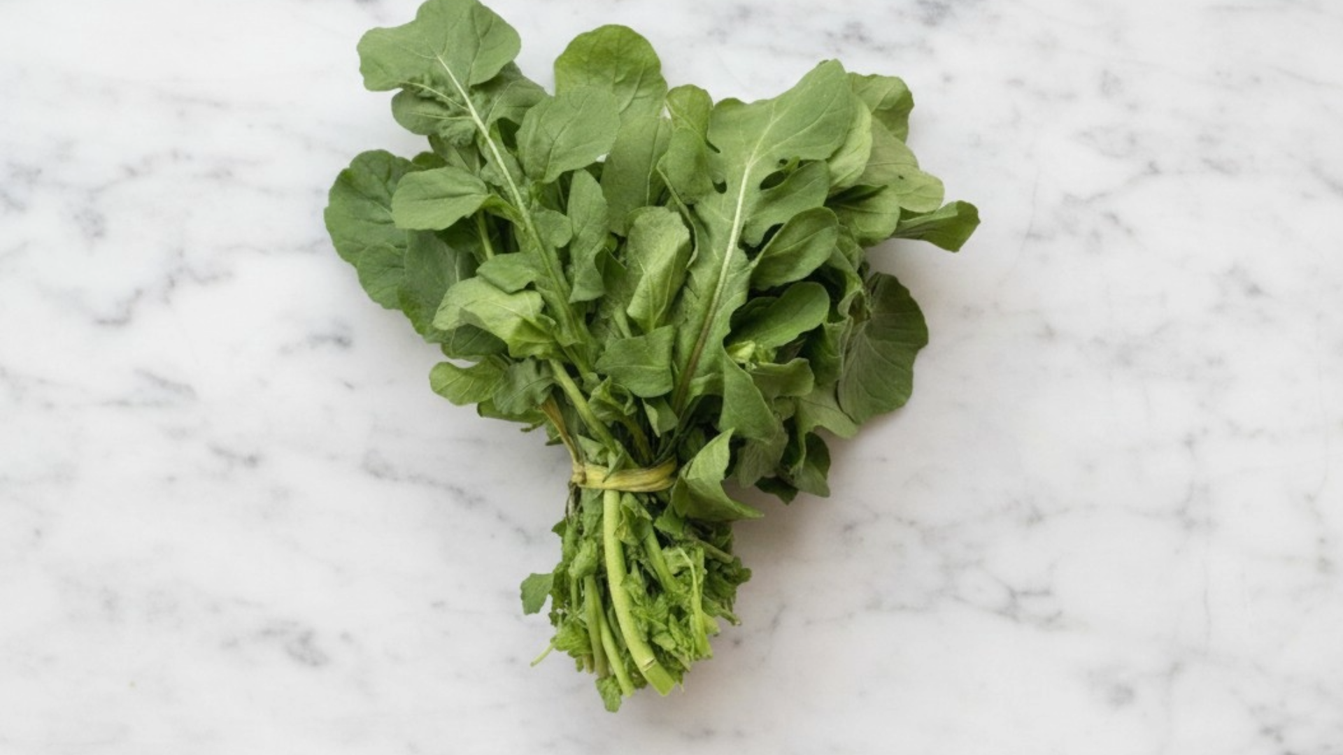 arugula fresca