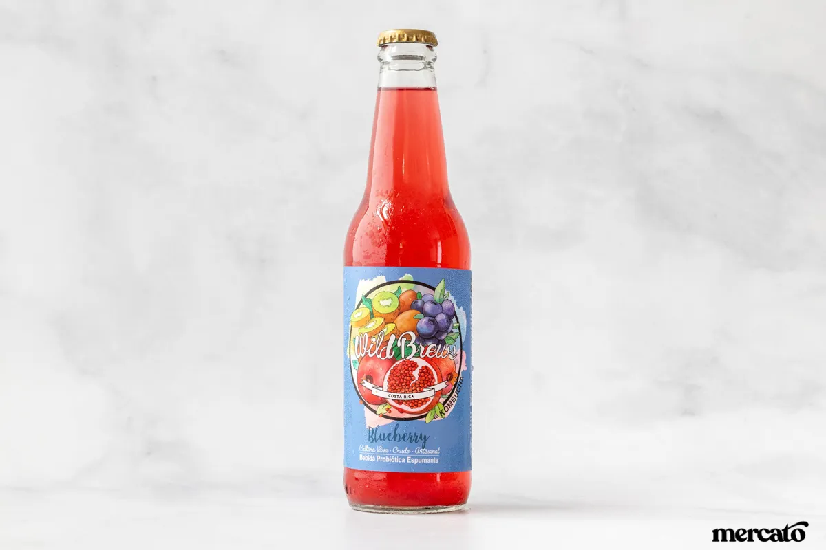 Kombucha Wild Brews 365ml (Blueberry, Kiwi y Granada Red)