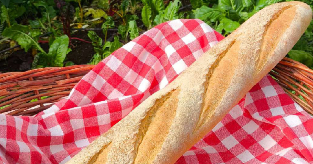 Pan baguette harina de kimuk producida en CR – Finca Tierra de Sueños – u
