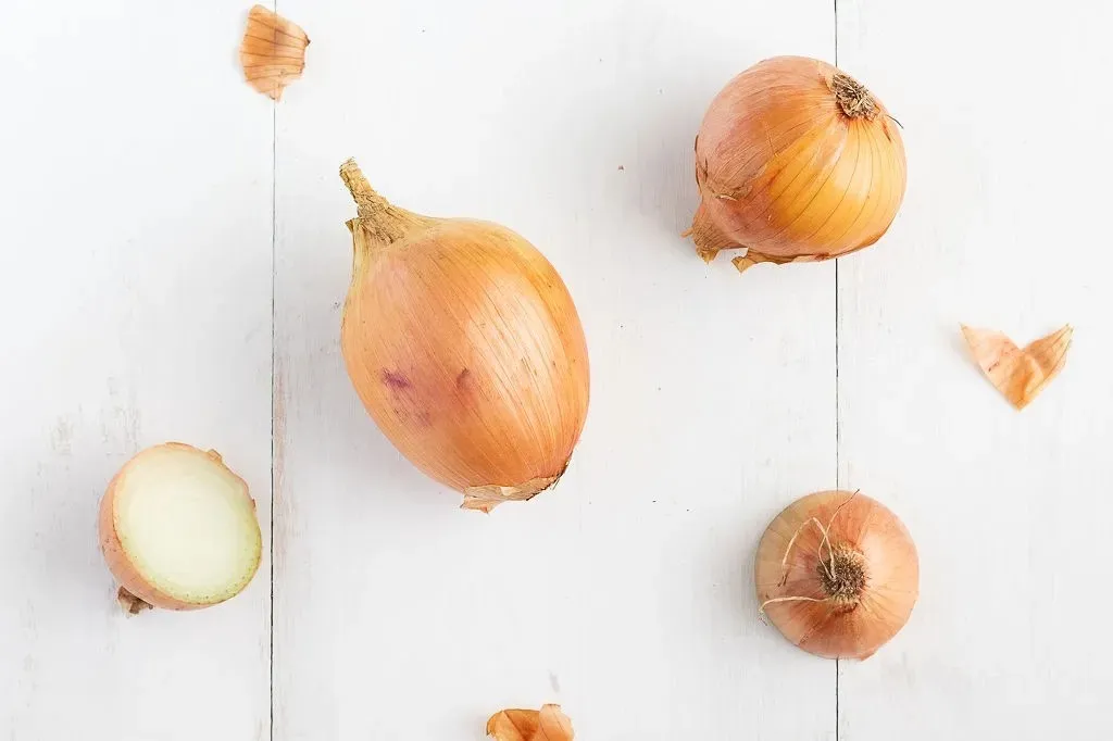 cebolla-amarilla